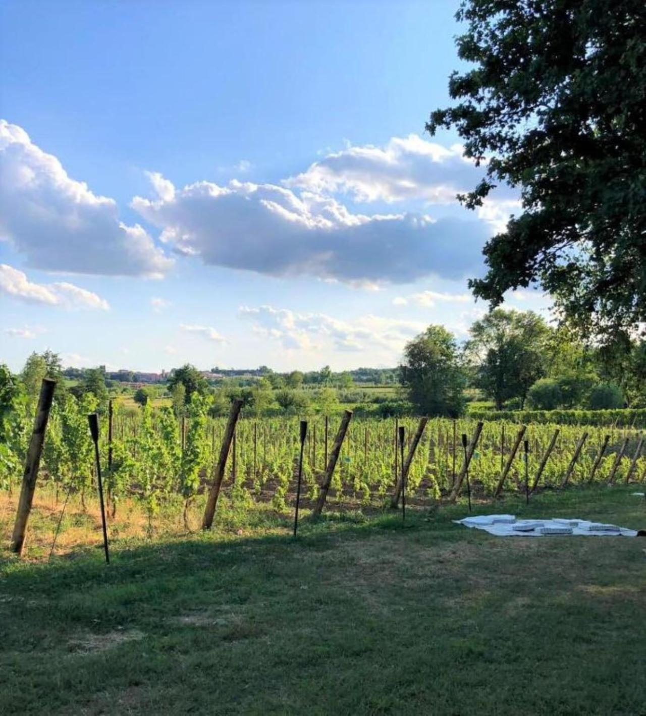 Dolce Lago B&B San Felice del Benaco Luaran gambar